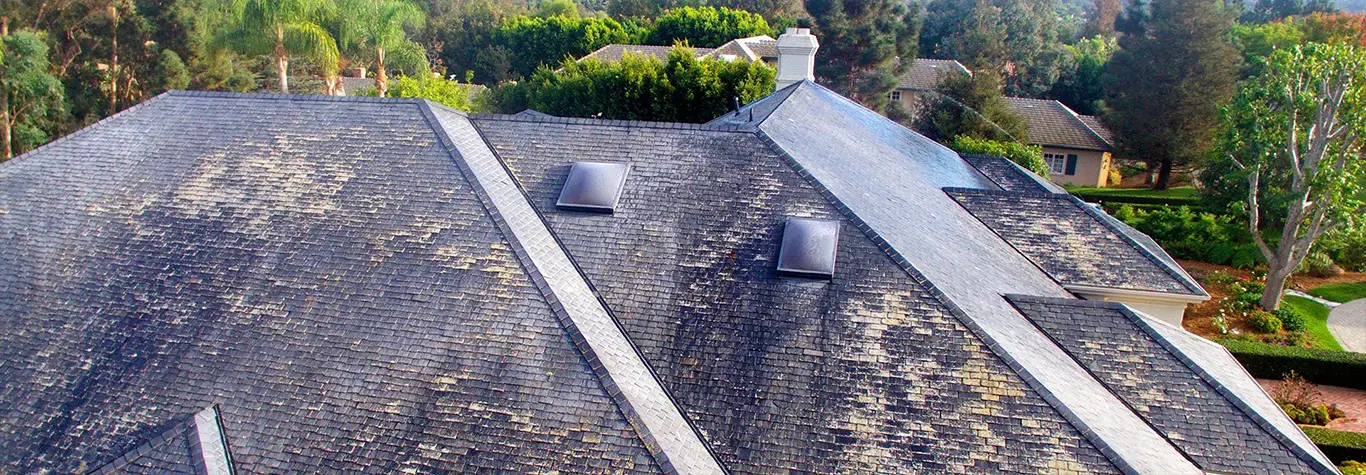 Roof with dark streaks and algae before cleaning