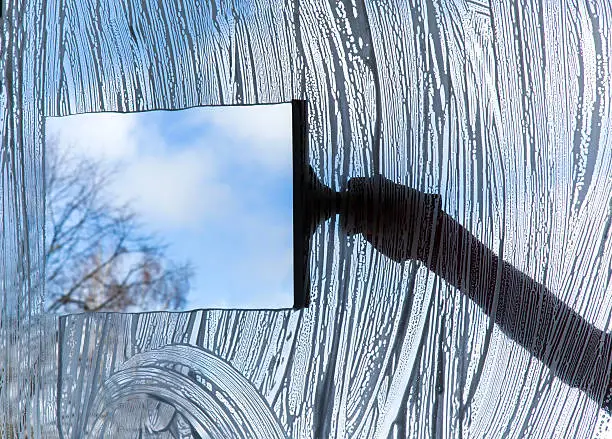 Professional window cleaning in Mount Dora